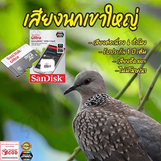 เสียงต่อ นกเขาใหญ่ ยาว6ชั่วโมง ไม่มีโฆษณา เมมโมรี่เล็ก(Micro SD) มีเก็บเงินปลายทาง