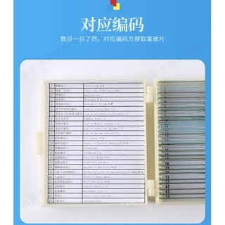 พร้อมส่ง 10 / 25 / 50 ชิ้นมืออาชีพแก้วเตรียมสไลด์กล้องจุลทรรศน์สำหรับเด็กโรงเรียนห้องปฏิบัติการการศึกษา
