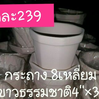 กระถางขาวดิบๆแปดเหลี่ยม4"×3"(ขาวธรรมชาติ จานรองกลม) 12 ชุด 239