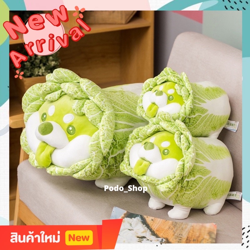 🔥พร้อมส่ง🔥 ตุ๊กตาหมาผักกาด ตุ๊กตา หมอนอิง ของเล่นเด็ก หมาผักกาด 🐶🥬