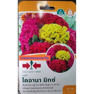 เมล็ดพันธุ์ ดอกไม้ ไม้ดอก ดอกหงอนไก่ 🌹ไดอานา มิกซ์ 🌷หมดอายุ08/11/2566💥บรรจุ40 เมล็ด