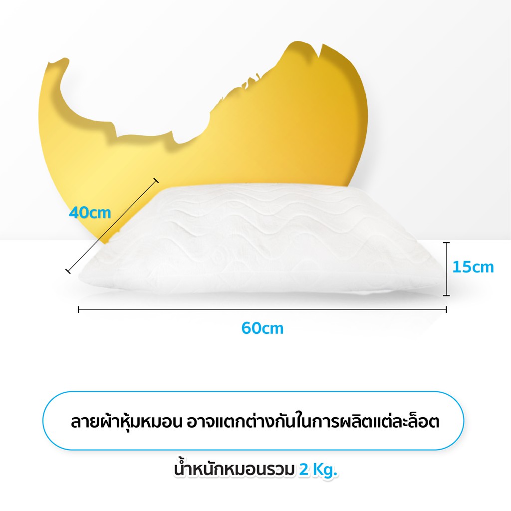 [HOT DEAL] หมอนยางพาราเพื่อสุขภาพ ยางอบฆ่าเชื้อ แท้100% แบบปั่น ใบใหญ่ 60x40(2kgs) รูปที่ 4