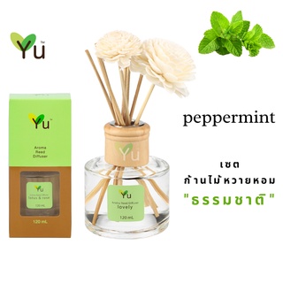 🌟🎁 ก้านไม้หอม 120 ml. กลิ่น Peppermint (เปปเปอร์มิ้นท์) กลิ่นหอมเย็นสดชื่นมาก หอมเย็นปลอดโปล่งโล่งสบาย