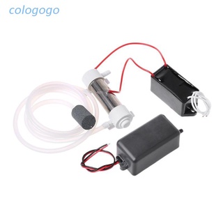 COLO  AC220V 500mg Ozone Generator Kit Ozone Water Air Clean Purifier Sterilizer Disinfector accessories