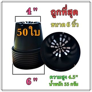 กระถางต้นไม้ พลาสติกสีดำ ขนาด 6 นิ้ว จำนวน 50 ใบ