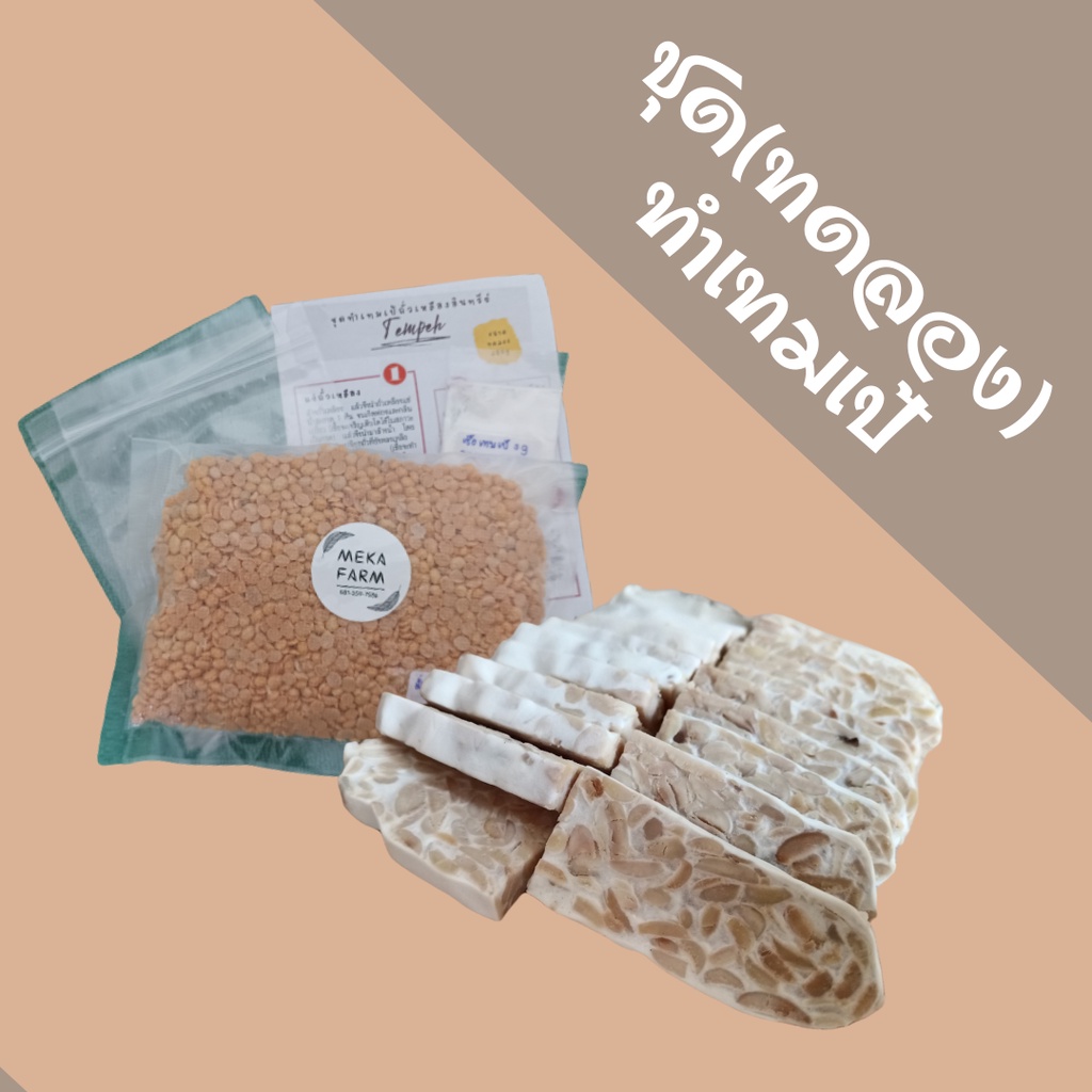 ชุดหมักเทมเป้ถั่วเหลืองออร์แกนิค_Organic Tempeh Kits | Shopee Thailand