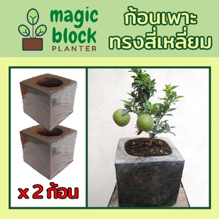 Magicblock ก้อนเพาะปลูกมหัศจรรย์ทรงเหลี่ยม ขนาด 30*30*28 ซม