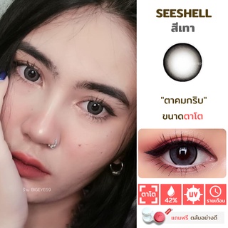 ไม่แถมตลับ Seeshell Gray (ตาโต) คอนแทคเลนส์ Wink