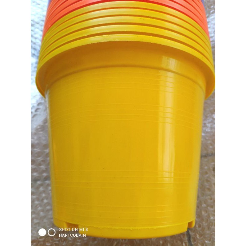 กระถางสีพาสเทล คละสี แพคละ 10 ใบ และ 5 ใบ ขนาด 6 และ 8 นิ้ว - รูปที่ 6