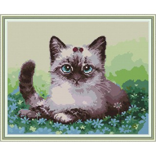 ชุดปักครอสติช แมว ดอกไม้ (Cat on the flowers Cross stitch kit)