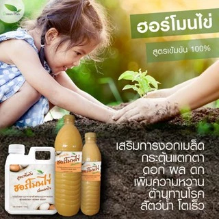 ฮอร์โมนไข่ ขนาด 1 ลิตร ตรา green park สูตรเข้มข้น แช่เมล็ด เร่งราก แตกตา ดอก ผล ดก ต้านทานโรค เพิ่มผลผลิต เพิ่มความหวาน