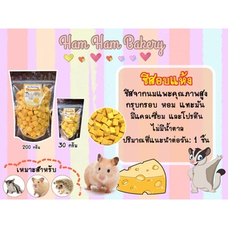 (Ham Ham Bakery) ชีสอบเเห้ง     (กะปุกทดลอง) ขนมหนูเเฮมเตอร์ หนูแฮมสเตอร์ กระรอก ชูการ์ เม่นเเคระ เเฟตเทล