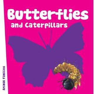 DKTODAY หนังสือ ANIMAL FAMILIES:BUTTERFLIES &amp; CATERPILLARS