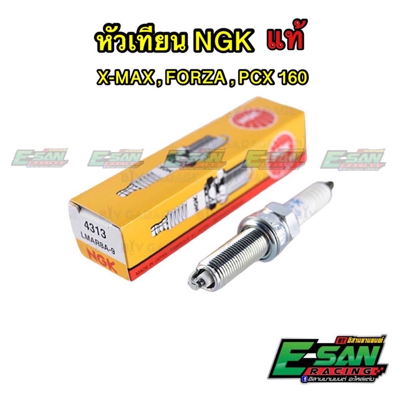 หัวเทียน NGK PCX160 FORZA X-MAX LMAR8A-9