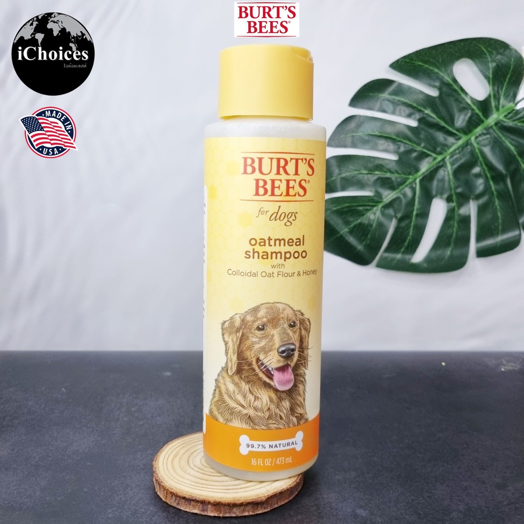 แชมพู ข้าวโอ๊ตธรรมชาติสำหรับสุนัข Burt's Bees® Oatmeal shampoo for dog with Colloidal Oat Flour & Ho