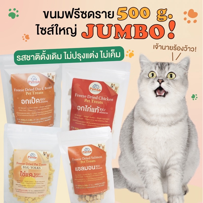พร้อมส่ง💖500กรัม PAWSA ไก่ฟรีซดราย ขนมแมว ฟรีซดรายแมว ขนมสัตว์เลี้ยงเพื่อสุขภาพ ไก่อบแห้ง