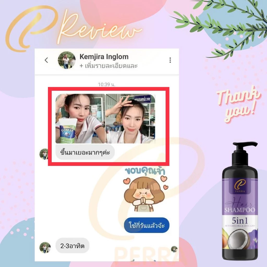 (P) Perra hair แชมพู เร่งผมยาว ผมร่วง ปลูกผม อโวคาโด อัญชัน เข้มข้น ผมสลวยเงางาม thumbnail 4