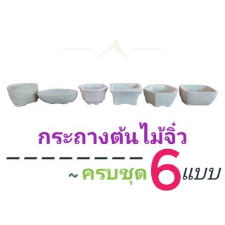 กระถางต้นไม้ จิ๋ว 6 ใบ 69 บาท