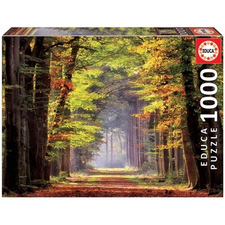 จิ๊กซอว์ Educa - Fall walkway  1000 piece  (ของแท้  มีสินค้าพร้อมส่ง)