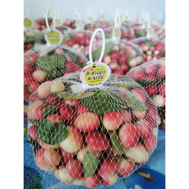 พร้อมส่ง​ ผลสดมะม่วงหาวมะนาวโห่ปลอดสาร​ 1 กิโลกรัม​ (3แถม1)