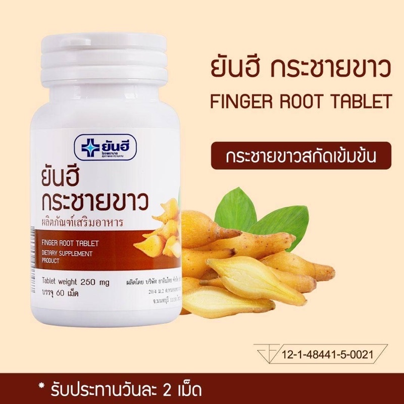 กระชายขาว ยันฮี ยันฮีกระชายขาว กระชายขาวสกัด Finger Root extract (ผลิตภัณฑ์เสริมอาหาร) มี อ.ย