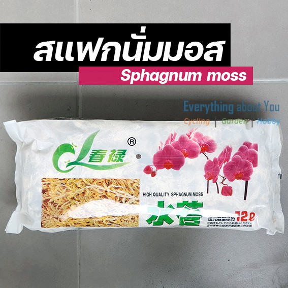 สแฟกนั่มมอส sphagnum moss 12L เก็บความชื้นให้ต้นไม้ พร้อมส่ง
