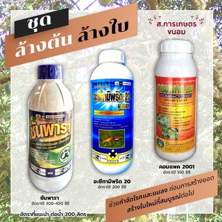 ชุดล้างต้น ล้างใบ 1,290 บาท