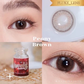คอนแทคเลนส์ (มินิ) ตาหวาน 💖 Peony gray brown 💖 สีนวลละมุน Lovelyplus ใส่แล้วหวานธรรมชาติ ไม่หลอกตา เลนส์เกาหลีแท้ 🇰🇷