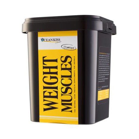 OCEANKISS WEIGHT & MUSCLES รสชีส อาหารเสริมเพิ่มน้ำหนักแมว สุนัข บำรุงสุขภาพ เจริญอาหาร (ขนาด 600 กรัม)