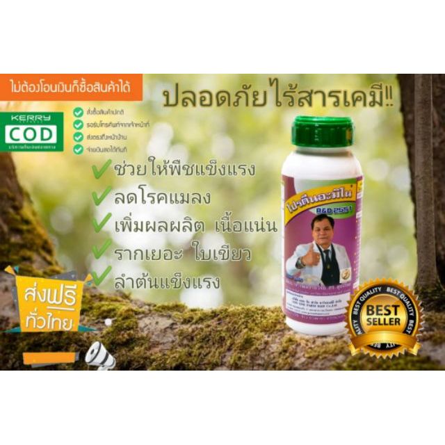 6 แถม 1 RD2551 สารเสริมพืชชนิดโปรตีนอะมิโน Protien Amino(ไม่ใช่ปุ๋ย)​