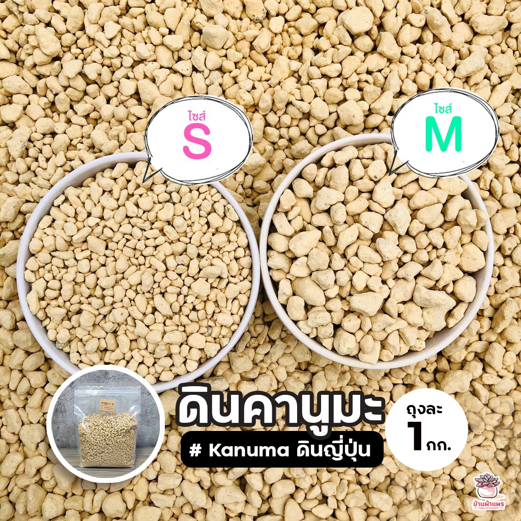 [ 1 กก. ] ดินคานูมะ Kanuma ดินญี่ปุ่น ส่วนผสมดินปลูกแคคตัส&ไม้อวบน้ำ