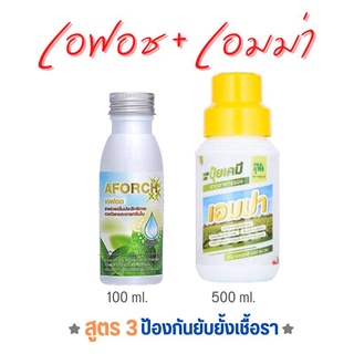 แพ็คคู่ Aforch 100 ซีซี+เอมม่า 500 ซีซี ปุ๋ยน้ำเอมม่า + สารจับใบเอฟอช เอฟอช  สูตรบำรุงและ ยับยั้ง ป้องกันเชื้อรา