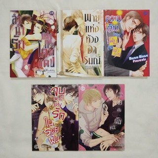 การ์ตูนวาย YAOI มือสอง (สภาพดี 90%+++ ทุกเล่ม พร้อมส่ง) หนังสือมือสอง