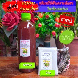 คู่หูคู่บำรุง จุลินทรีย์สังเคราะห์แสง ฮอร์โมนไข่ ขวดละ 500ml ช่วยบำรุงพืช บำรุงพืชใบ บำรุงพืชหัว เร่งราก เร่งรากต้นไม้