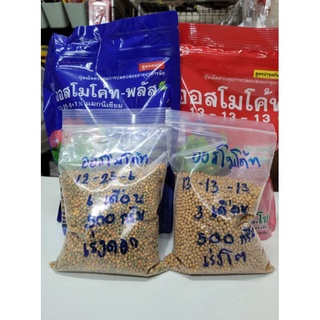ปุ๋ยละลายช้าออสโมโค้ท สูตร 3เดือน(13-13-13)และสูตร6เดือน(12-25-6)