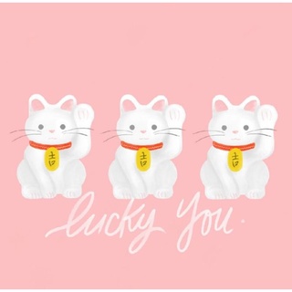 สินค้าในไลฟ์ของแม่ค้าเอง 30