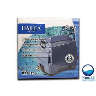 Hailea Air Pump HAP-80 ปั๊มลมแบบโรตารี่ ไดอะเฟรม