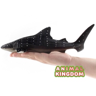 Animal Kingdom - โมเดลสัตว์ ปลาฉลามวาฬ ขนาด 27.00 CM (จากสงขลา)