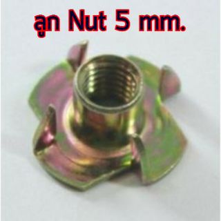 สกรู,แหวนต่างๆ ลูกNut 5 mm. (4ชิ้น)