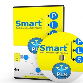 SmartPLS Professional