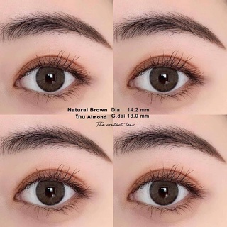 คอนแทคเลนส์ รุ่น Natural สี brow แถมตลับ#คอนแทคเลนส์#คอนแทคเลนส์สายตา#คอนแทคเลนส์รายเดือน