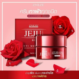 🌹ครีมทาฝ้า JEJU ZNEZE (ของแท้100%)ครีมทาฝ้าหนาๆ ครีมทากระ ลบรอยฝ้า ฝ้าแดด กระ จุดด่างดำ ฟื้นฟูผิวหน้า