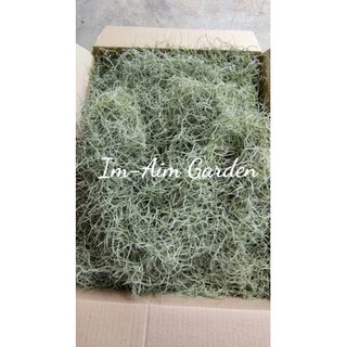!!(พร้อมส่งเครา1/2)!!....เคราฤาษี ครึ่งโล แบบมีลวดแขวนและไม่มีลวดแขวน