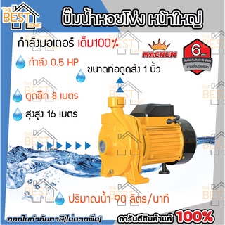MACNUM ปั๊มน้ำหอยโข่ง หน้าใหญ่ รุ่น MN50 ขนาด 1" x 1" x 0.5 HP ไฟฟ้า ปั๊มน้ำ ปั๊มไฟฟ้า
