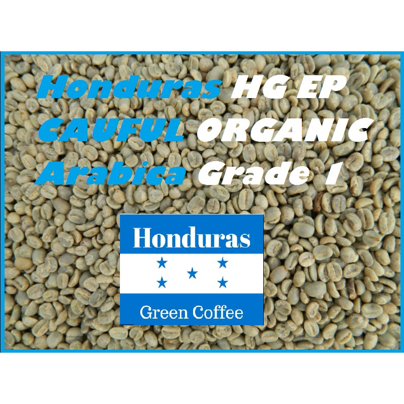 HONDORAS HG EP CAUFUL ORGANIC ARABICA GRADE 1 ถั่วเขียว ( 1KG ) .