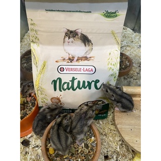 อาหารหนูแฮมเตอร์#อาหารหนูมินิเนเจอร์#mini nature400g.