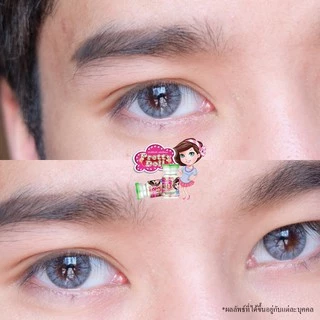 คอนแทคเลนส์🌈Pony🌈 Chestnut / Gray (Wink) ขนาดบิ๊กอาย💖ขายดี🍭