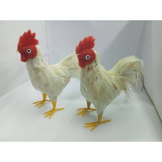 ไก่ถวาย​ขนาดสูง​ 5"  ขนสีขาวงานหายากตัวละ​ 150