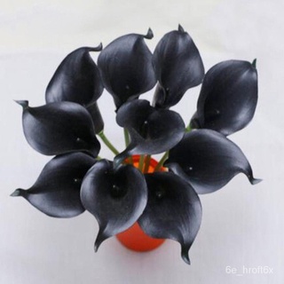 50Pcs Colorful Calla Lily Flower Seeds Potted Plant Bonsai Home Garden Yard Decoration生菜/文胸/男装/头饰/母婴/通心菜/裙子/芹菜/向日葵/香菜/กุ