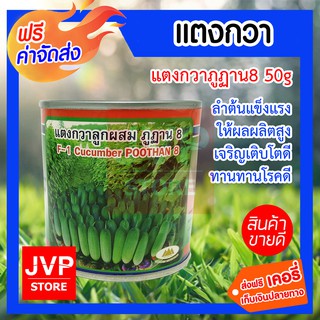 **ส่งฟรี**เมล็ดแตงกวาลูกผสมภูฏาน 50g. ตราภูเขาทอง ปลูกง่าย ลำต้นแข็งแรง ติดผลดก ทนทานต่อโรค ผลผลิตสูง